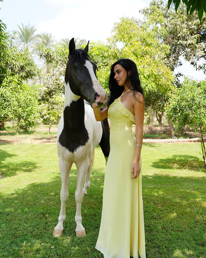 The Orchid Dress in Butter Yellow